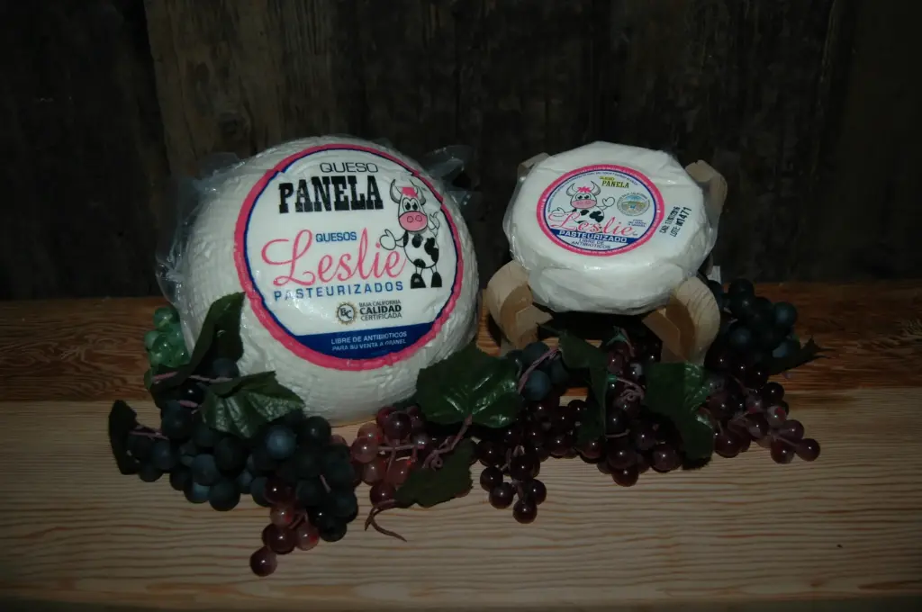 Queso Panela por pieza 500 gramos